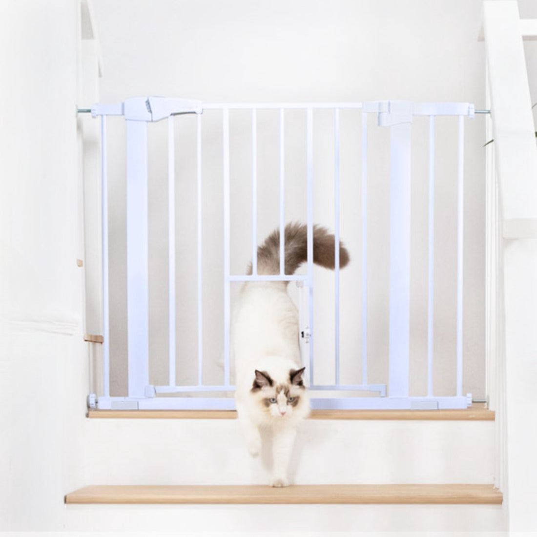 ADSafety Hondenhek Zonder Boren - 76 t/m 103 cm - Wit