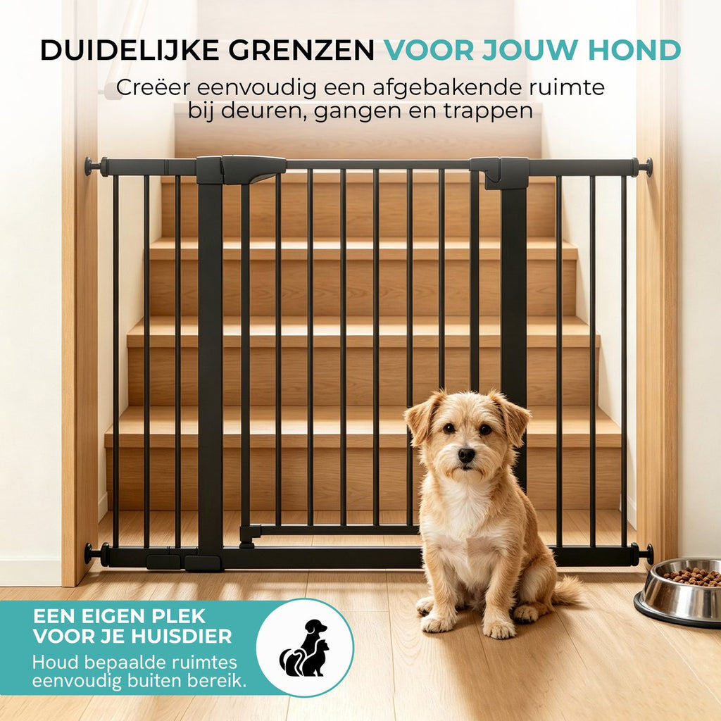 Hond voor het zwarte hondenhek bij de trap