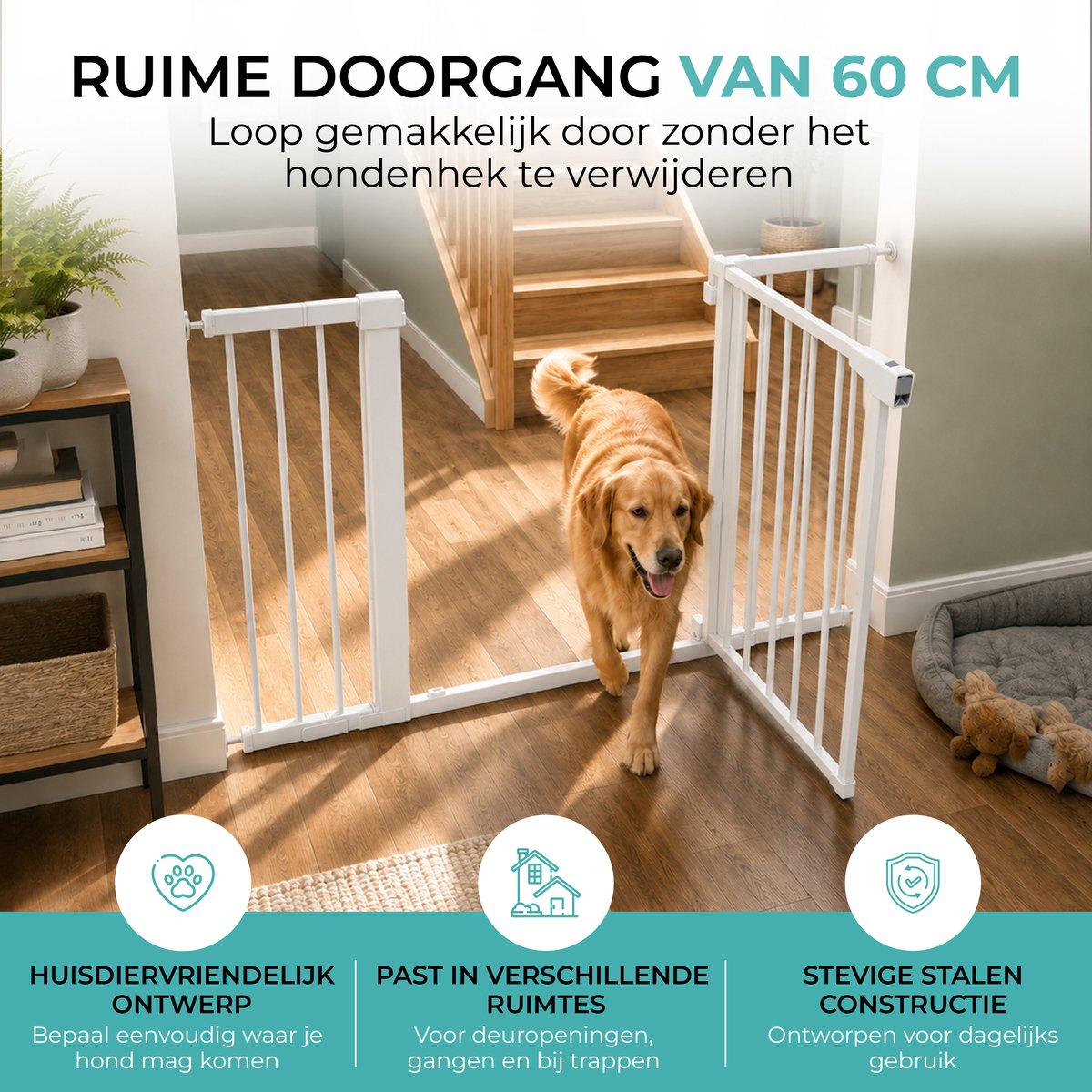 Hond loopt door de geopende deur van het witte hondenhek – doorgang 60 cm