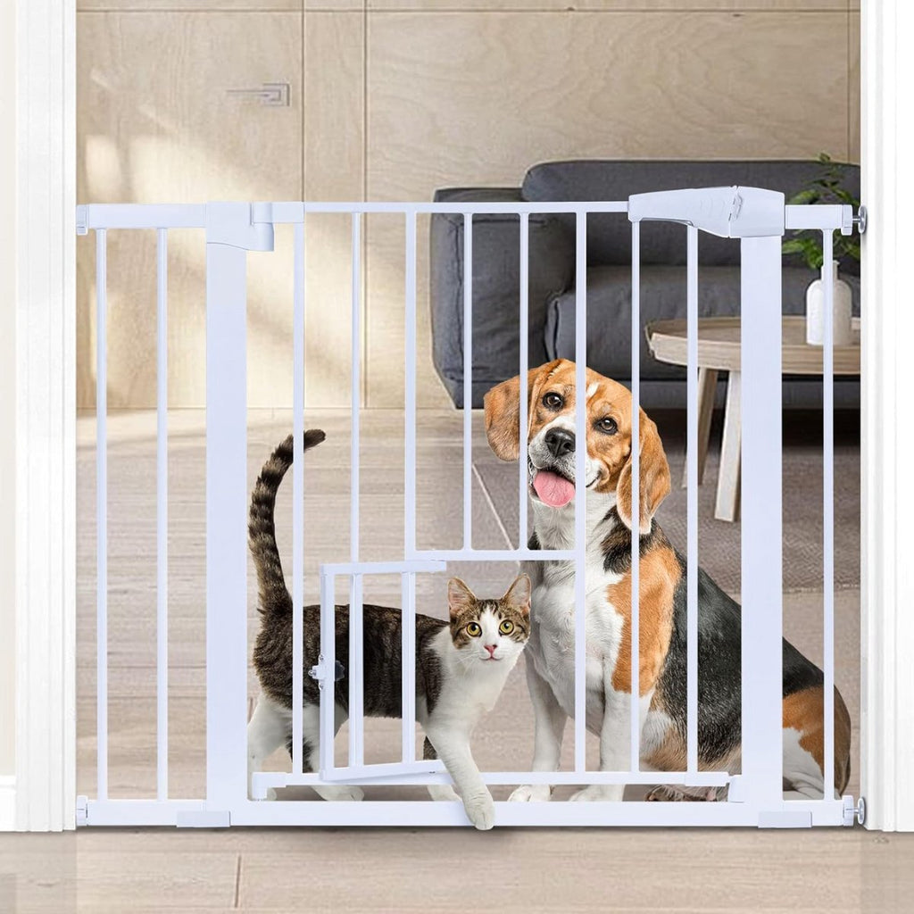 Hond en kat achter het witte hondenhek in de woonkamer