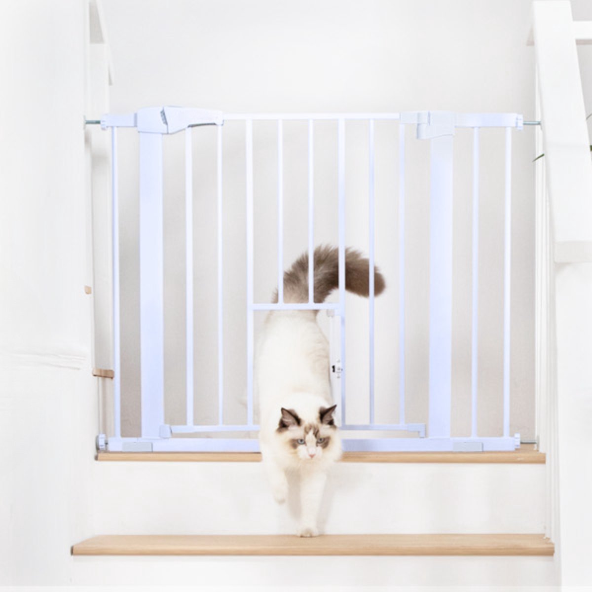 Kat loopt door het kattenluik van een wit hondenhek
