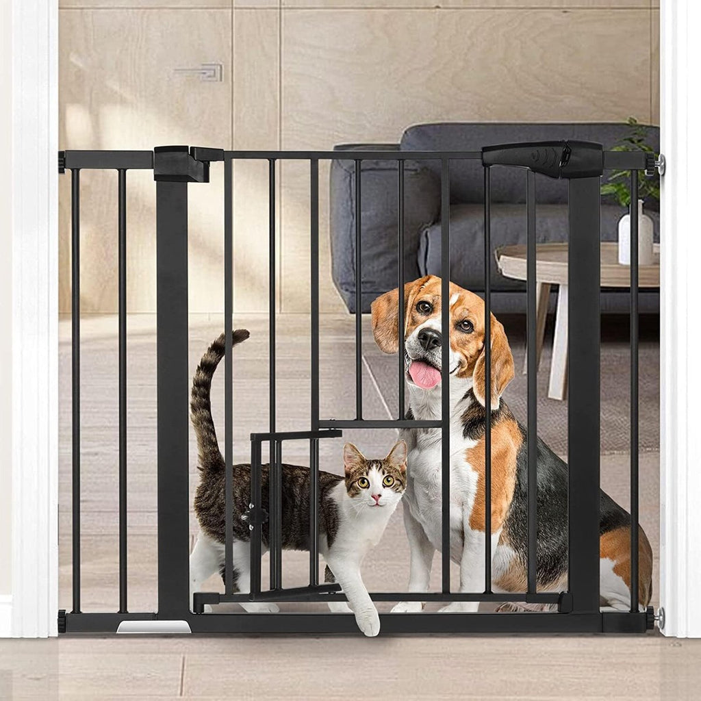 Hond en kat achter het zwarte hondenhek in de woonkamer