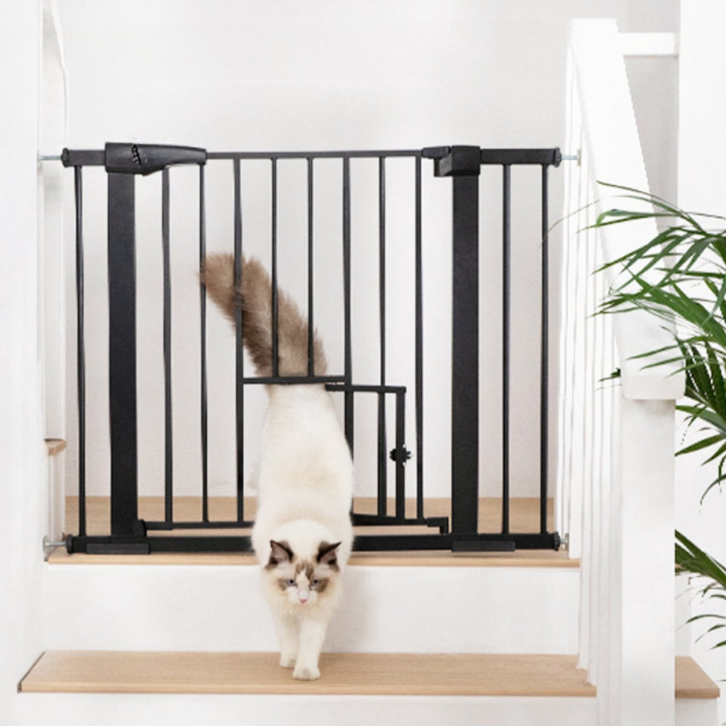 Kat loopt door het luikje van het zwarte hondenhek